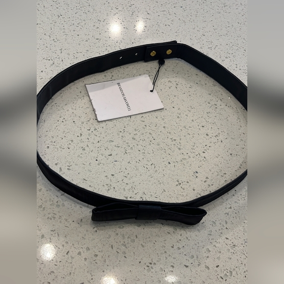 Brandon Maxwell $390 Belt main image 4